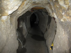 IMG_3135