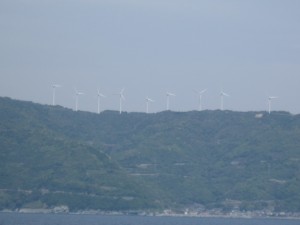 IMG_3196