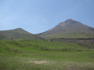 IMG_3211