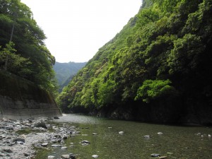 IMG_3256