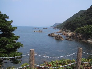IMG_0520